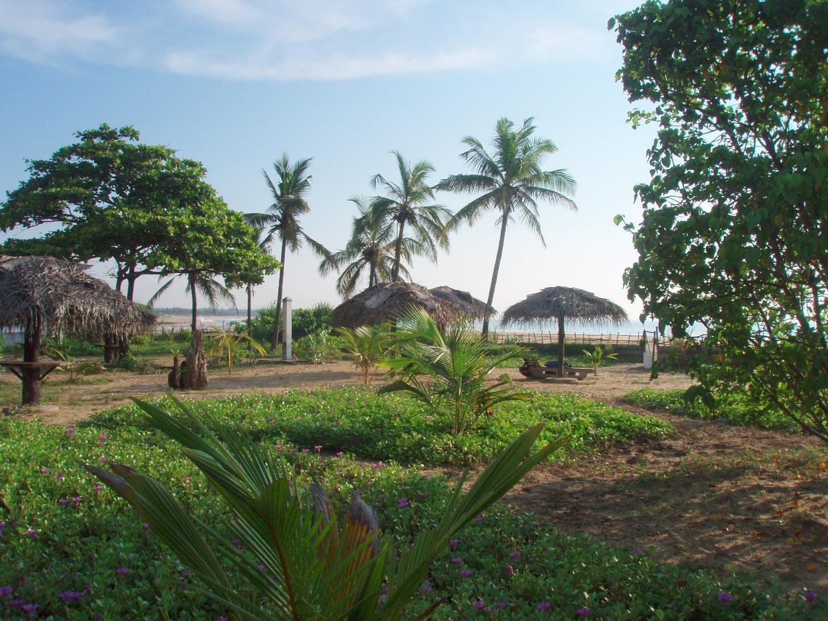 Stardust Beach Hotel Baía de Arugam Exterior foto