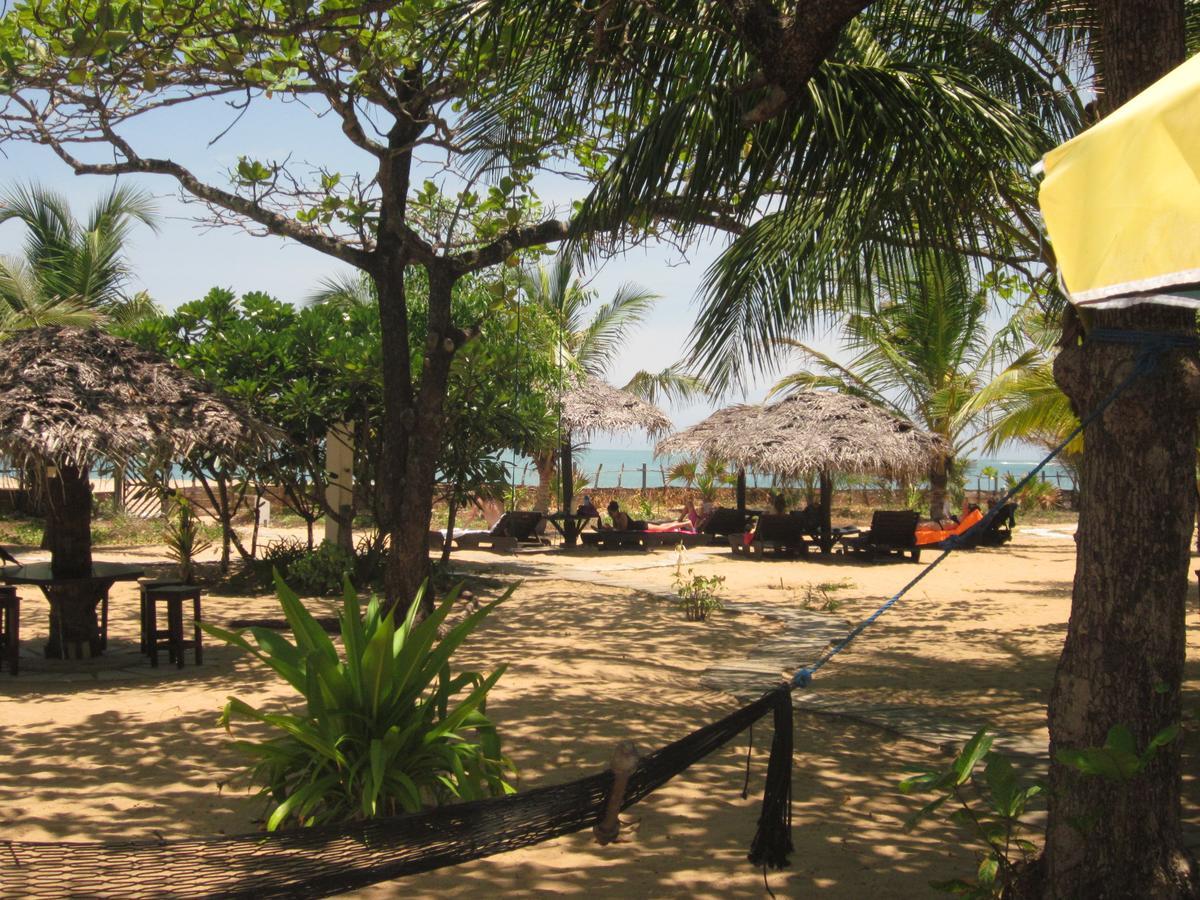 Stardust Beach Hotel Baía de Arugam Exterior foto