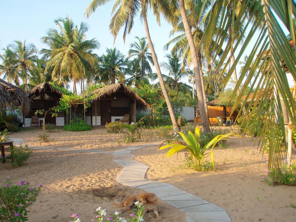 Stardust Beach Hotel Baía de Arugam Exterior foto